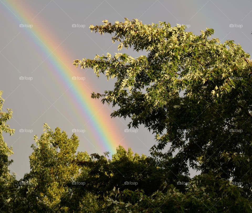 colour rainbow 🌈 nature natural beauty