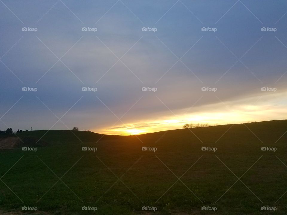 sunset in a field