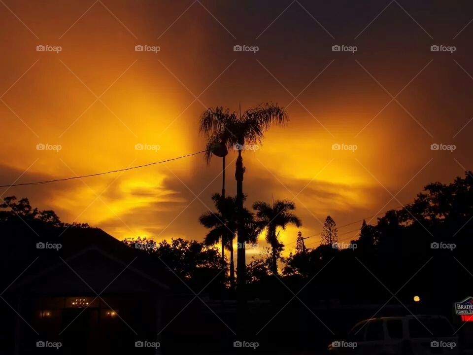 sunset 