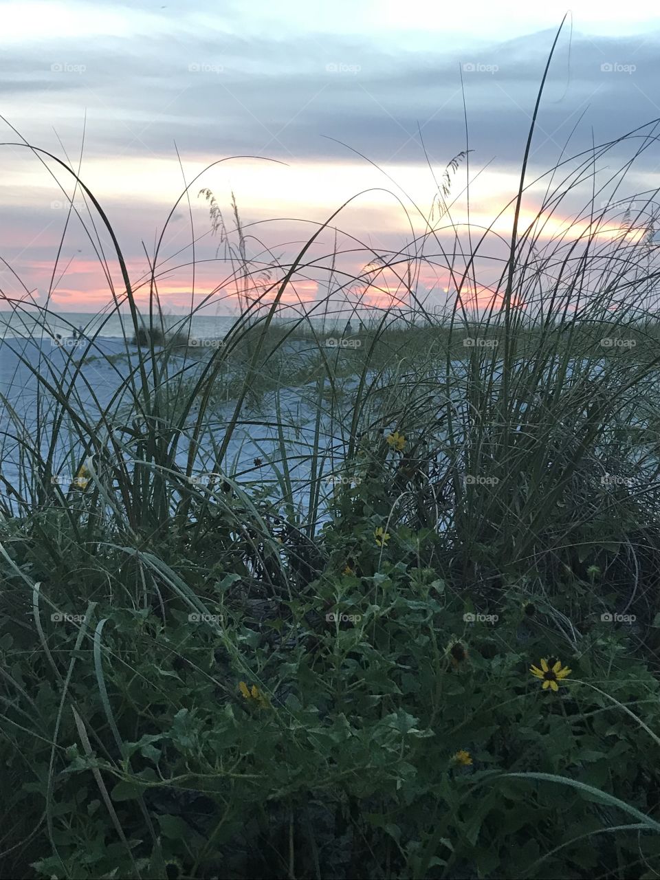 Sunset on Anna Maria Island