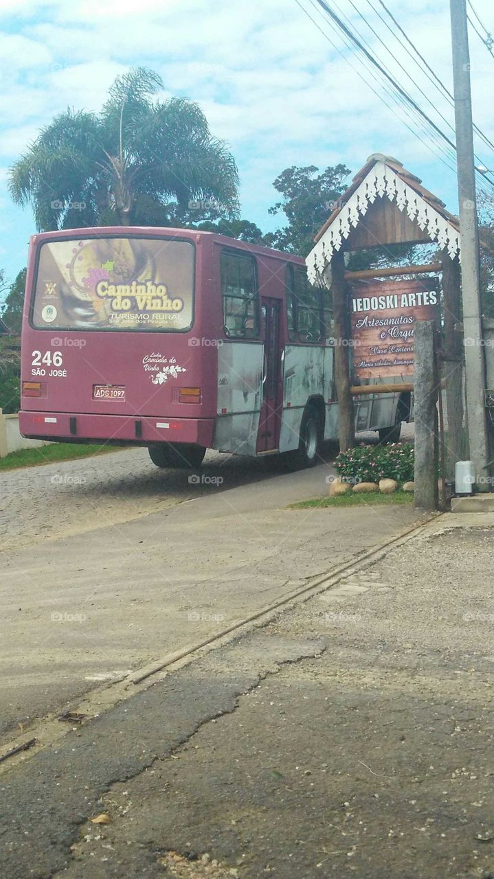 Brasil, São José dos Pinhais city, Paraná.
Turismo Caminho do Vinho