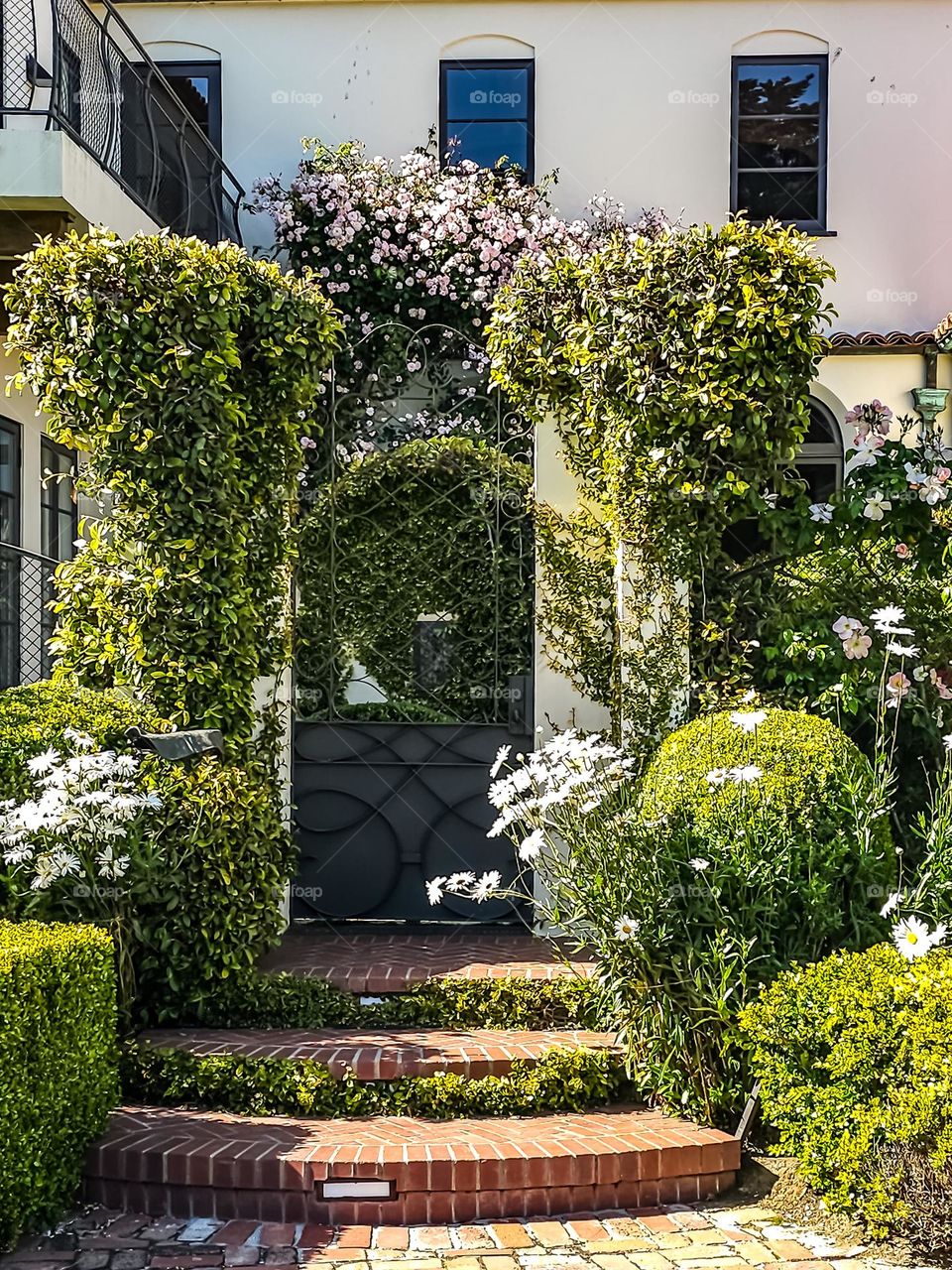 Beautiful garden growing in San Francisco California by the palace of fine arts, flowers in bloom on a warm spring afternoon , and a stunning entrance gate on a beautiful home