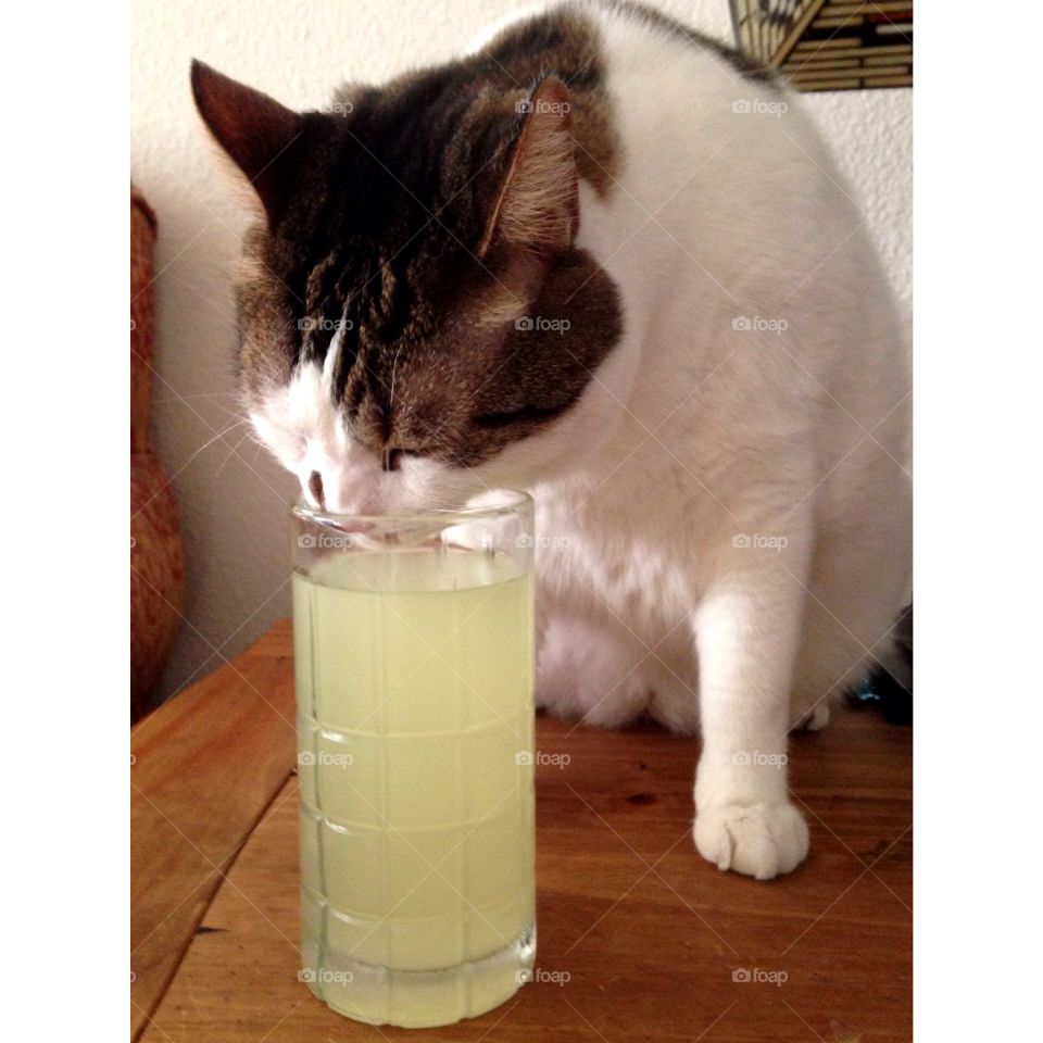 JJ Enjoying Lemonade!