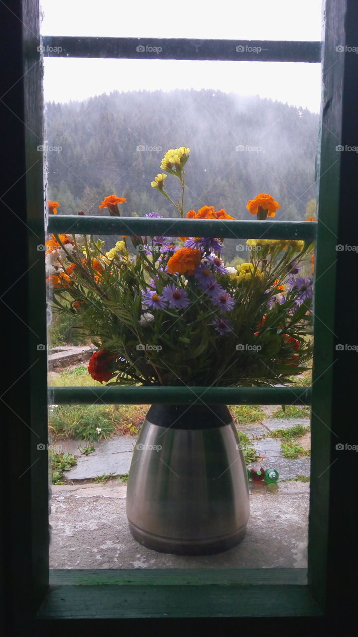 Flowers on the window, after the rain in Rodopi mountain, Bulgaria