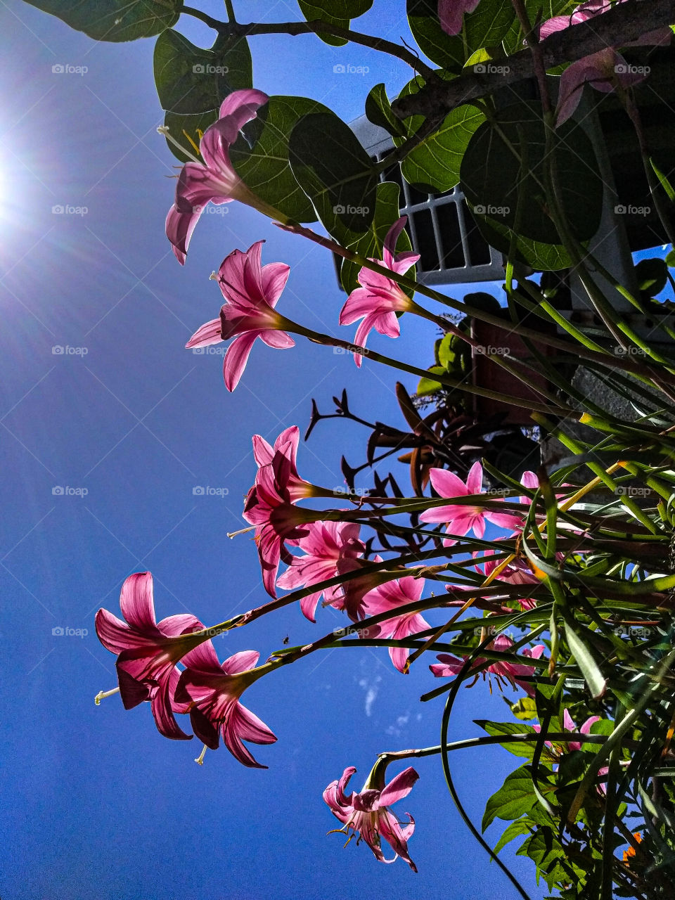 spring🌱🌷🌸!!!!😍😍