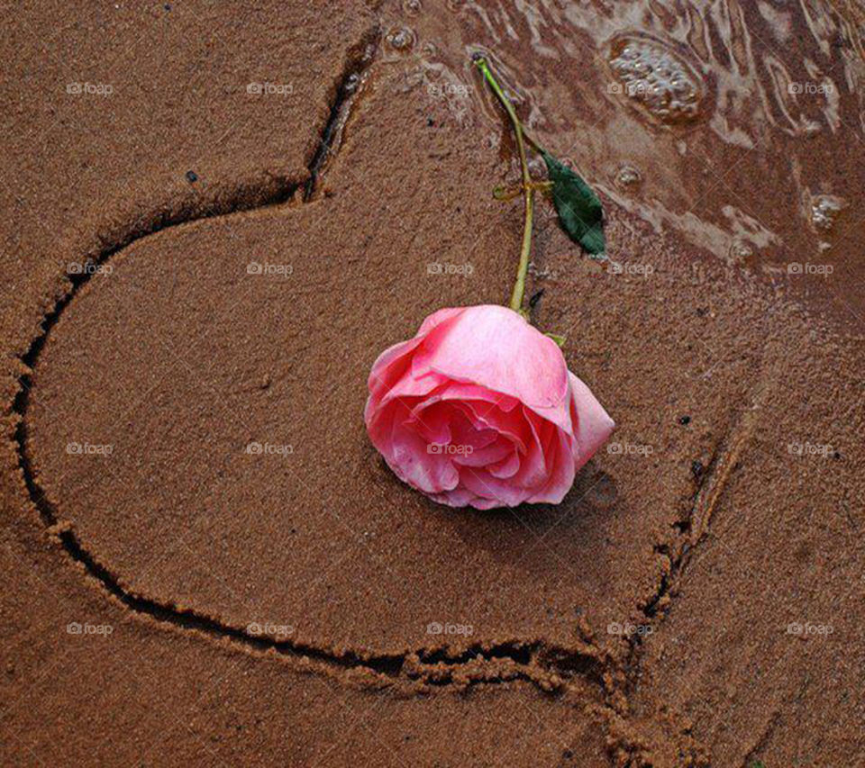 Heart in the sand with a rose
