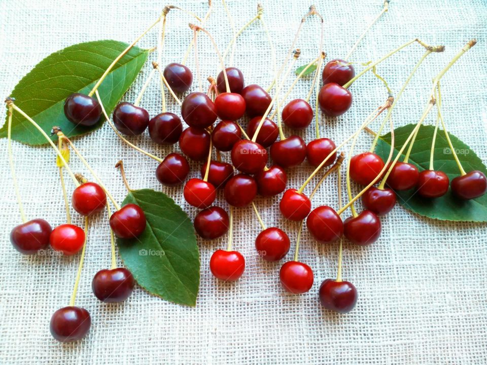 Red cherry and leaves background