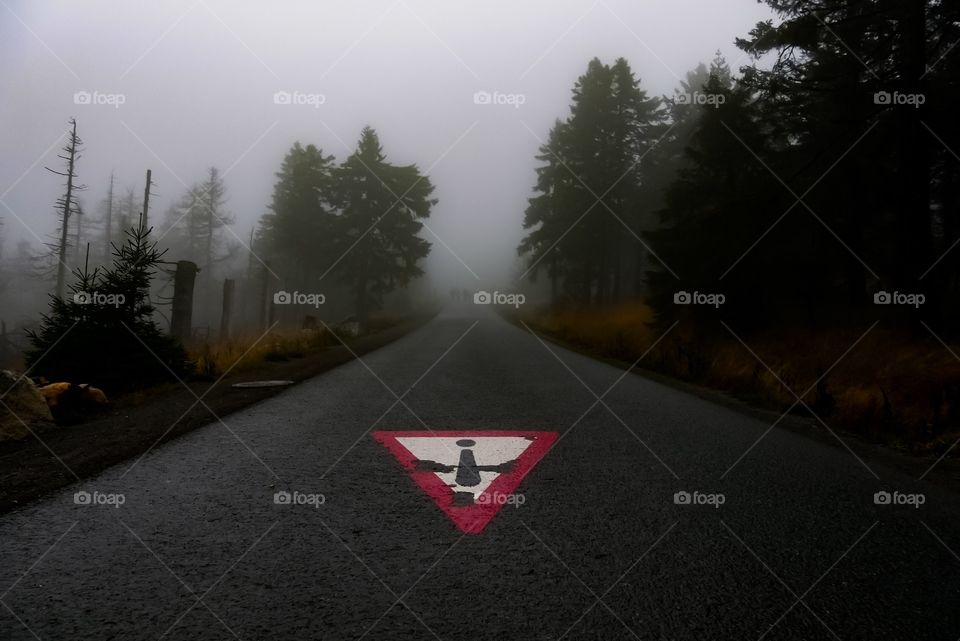 Empty Mountain Road on a foggy autumn day