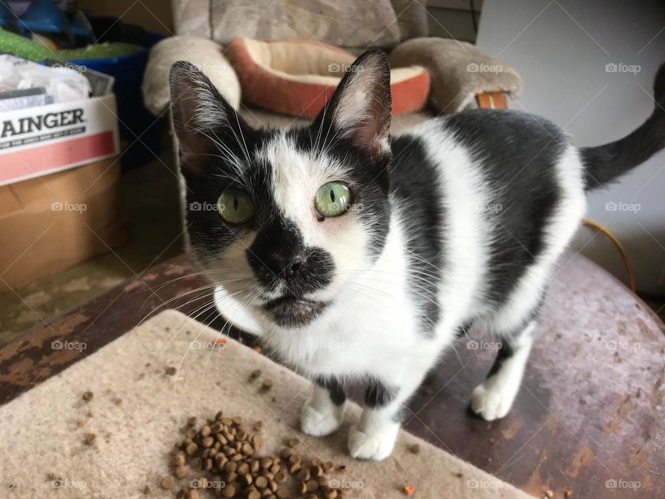 do you mind, I'm eating