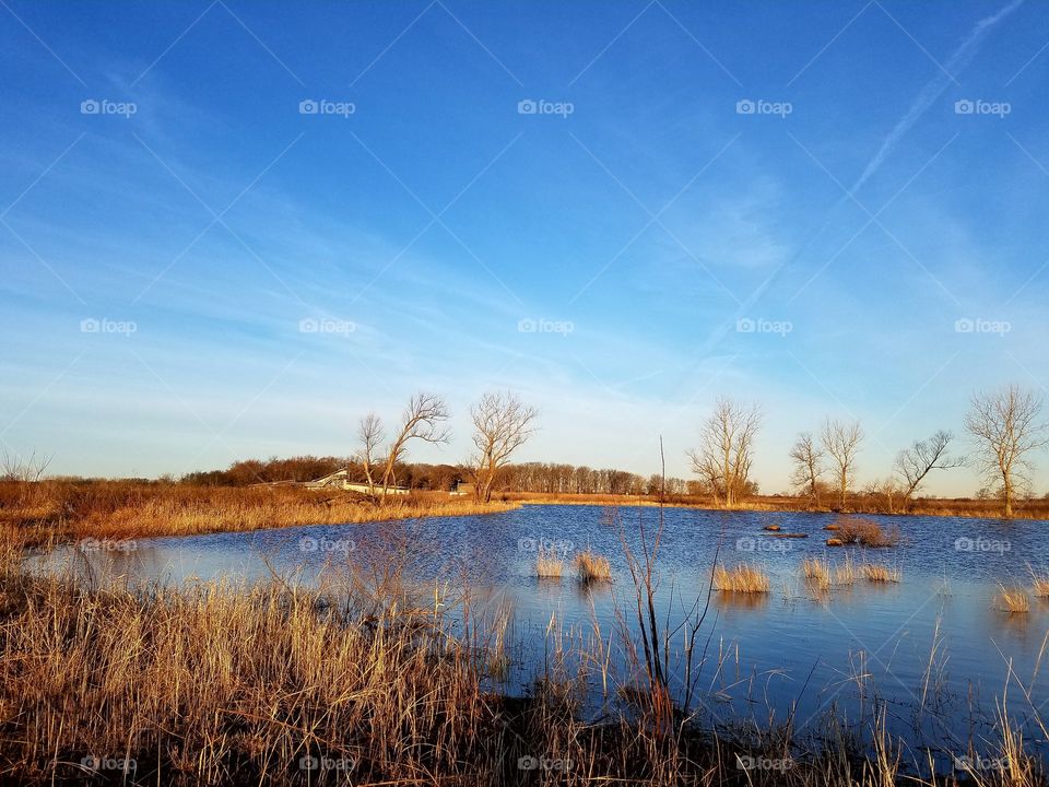 pond landscape in early spring