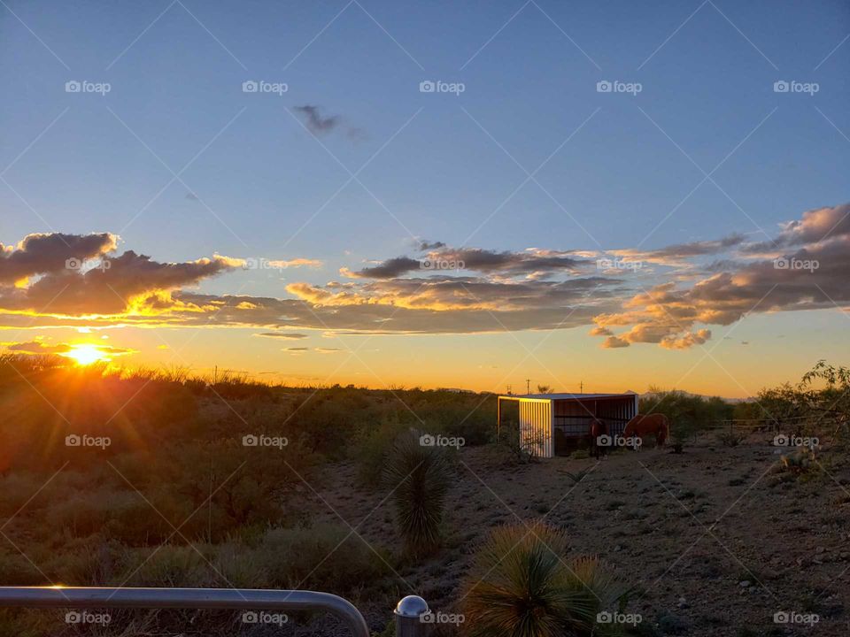 sunset on the ranch