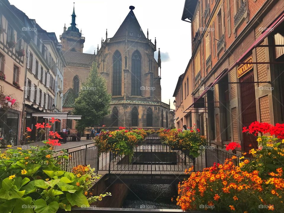 Cathedral and summer flowers in Colmar, France 