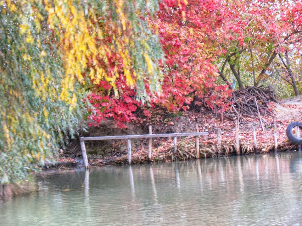 banks of the Danube берега Дуная