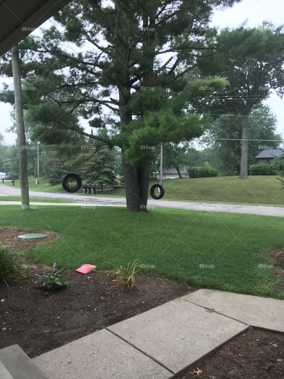 Tire Swings