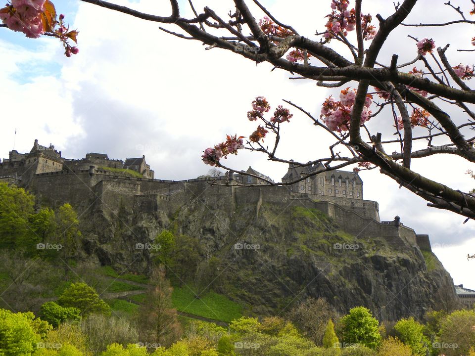 Scottish Spring