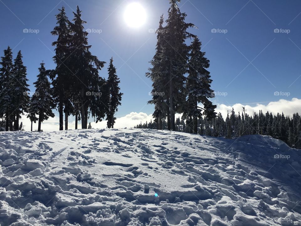 Sunny slopes