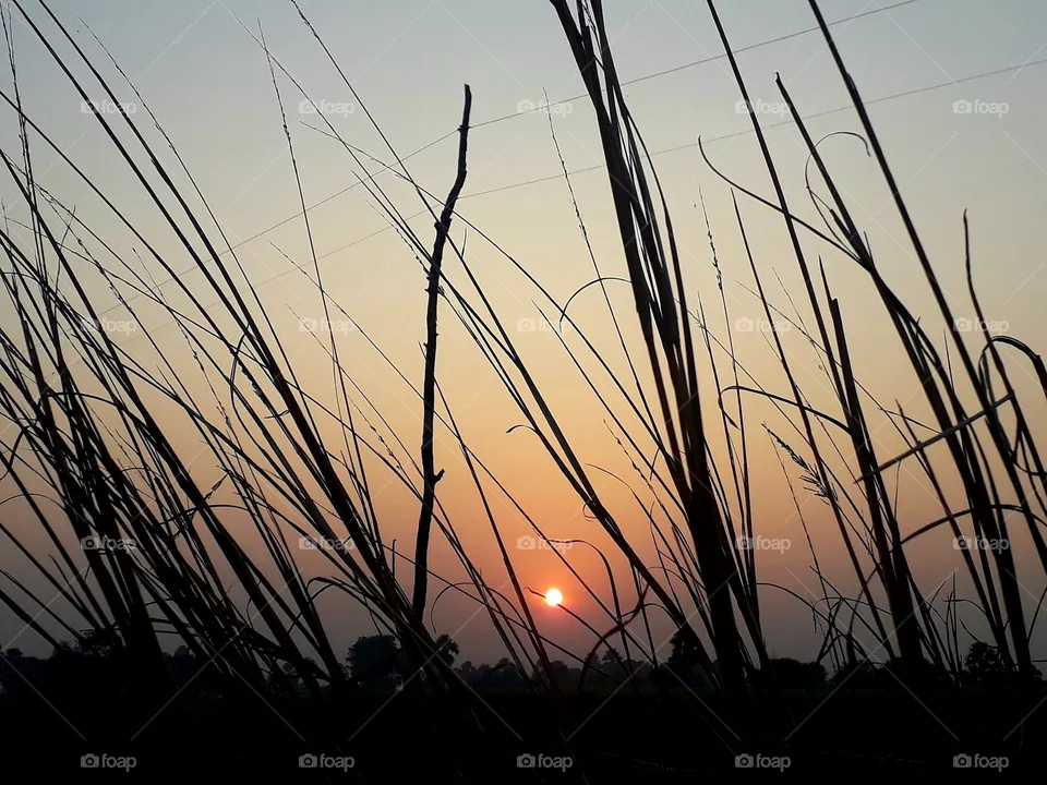 sunset