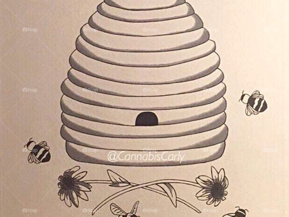 Bees in the beehive