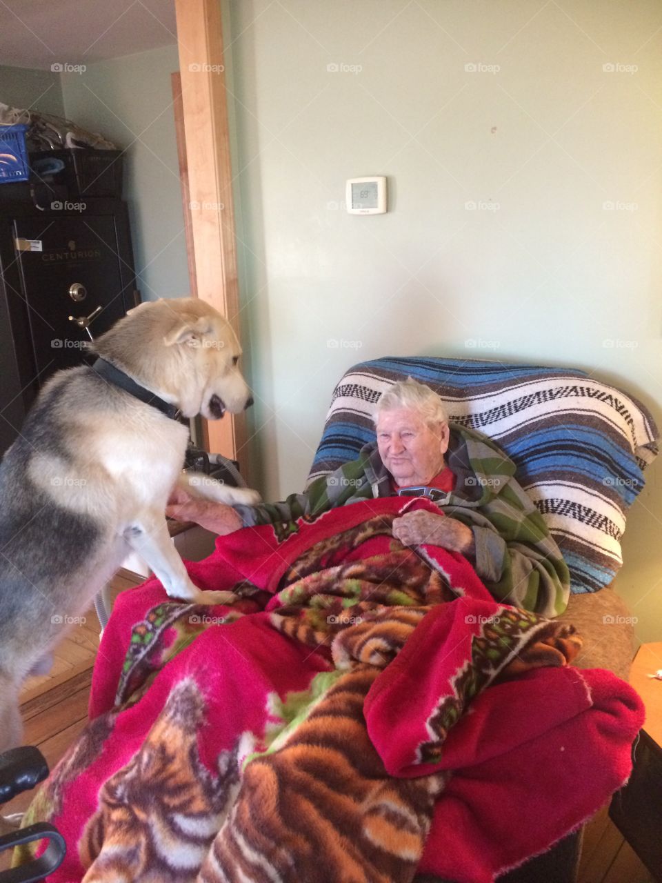 Elder man getting love and therapy from his pet