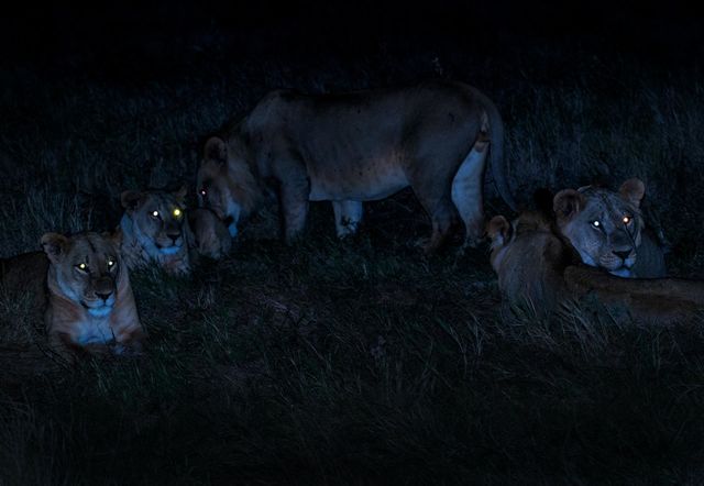 Night photo