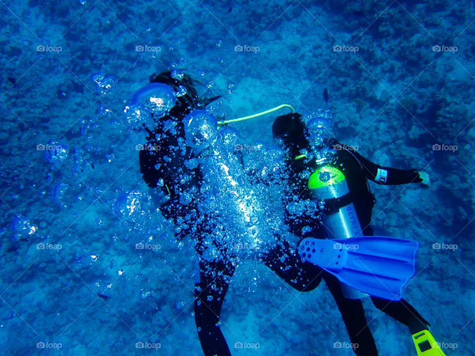 High angle view of scuba diving underwater