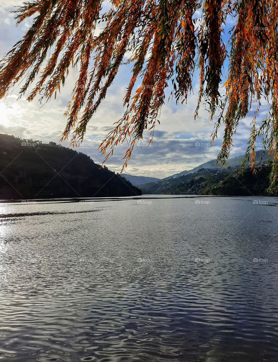 Autumn/Fall in Portugal