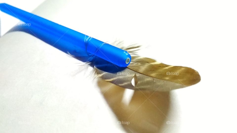 THE FEATHER WHICH WILL NEVER LOOSE THE PEN