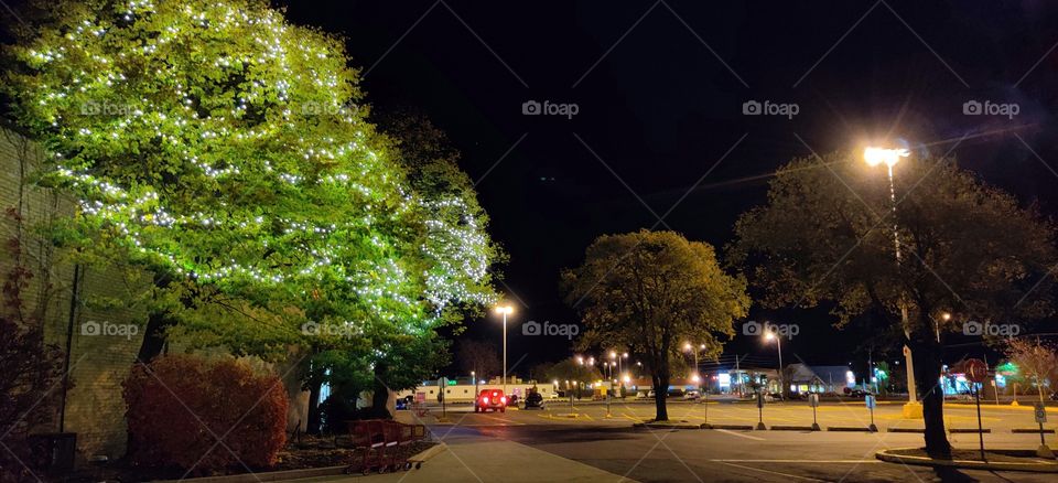 Decorations light on the trees