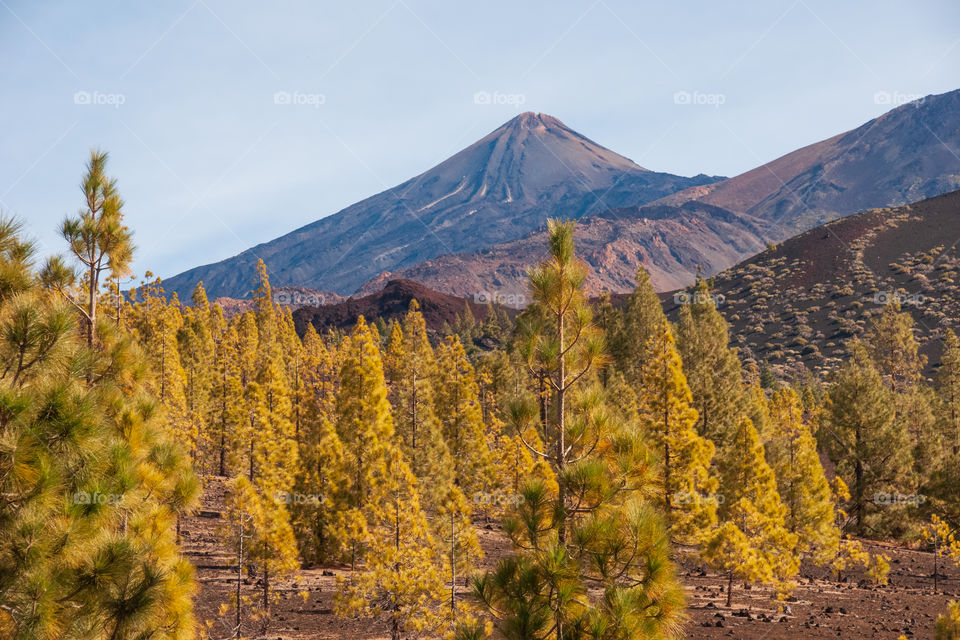 Volcano Tejde in Tenerife, Canary 