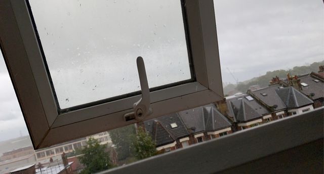 Rainy mornings