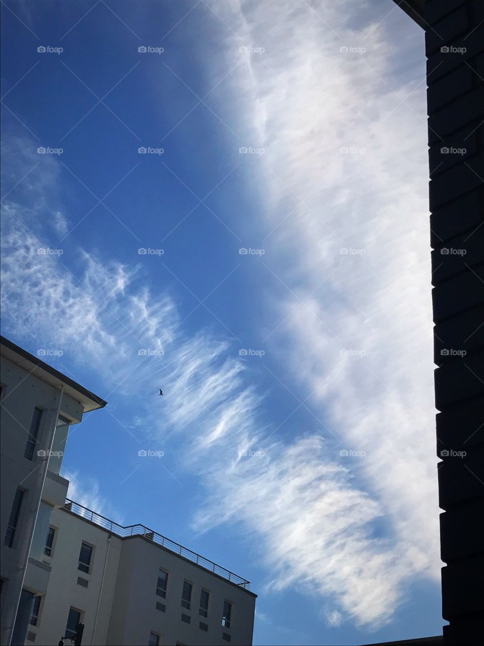 Cape Town Water Front