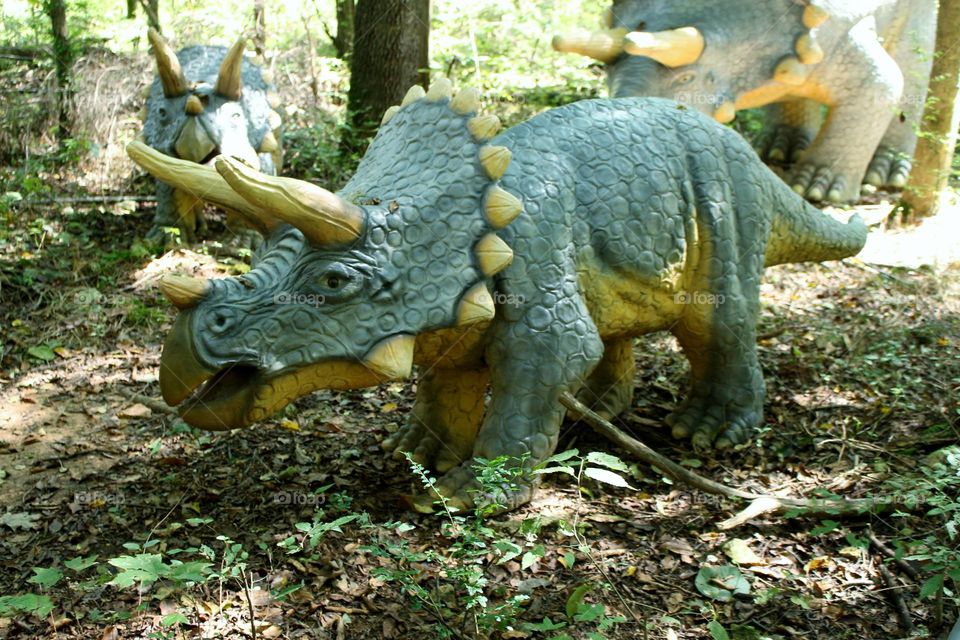 Triceratops at Dinosaur World in Cave City, KY