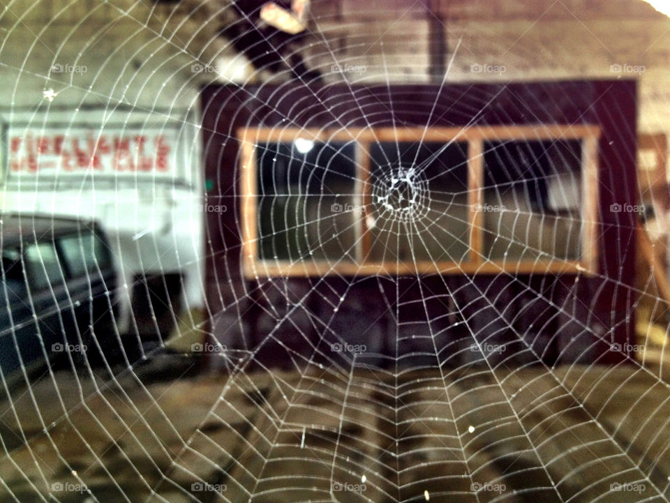 web spiderweb by johanlundahl