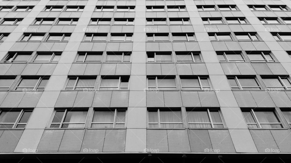 Windows of a building