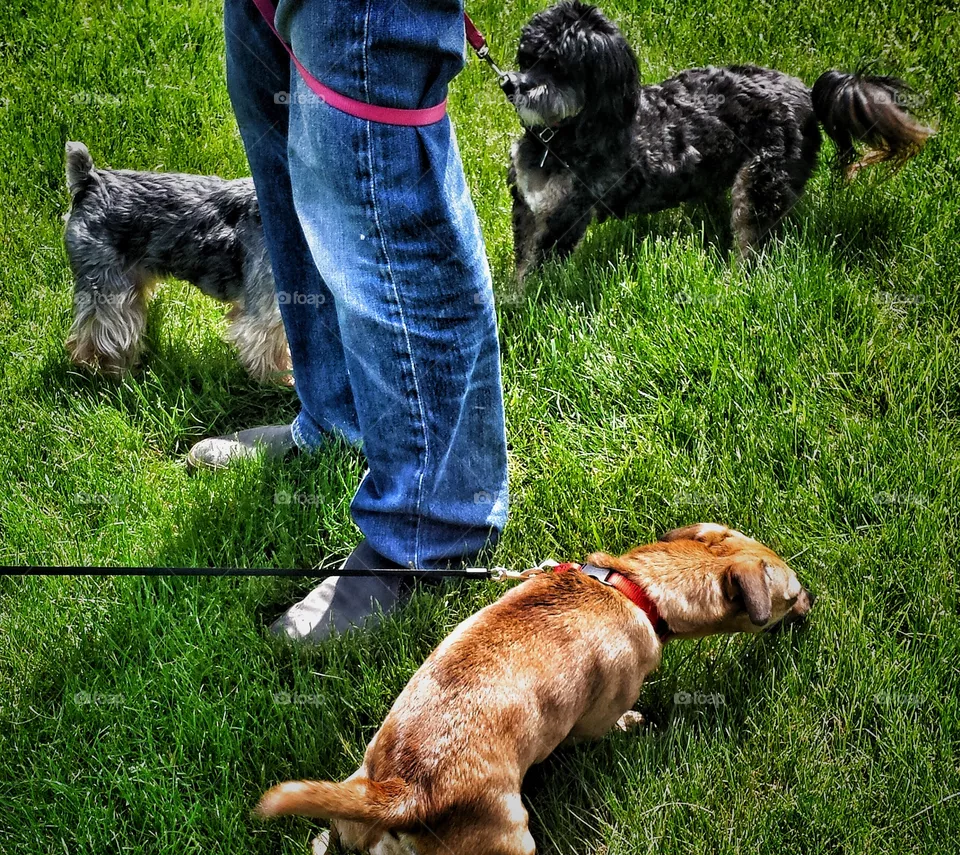 Play Date