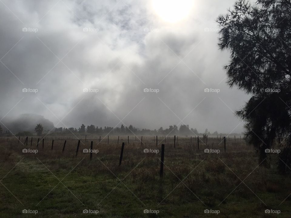 Stormy vineyard. A walk through a vineyard on a dramatically cloudy day