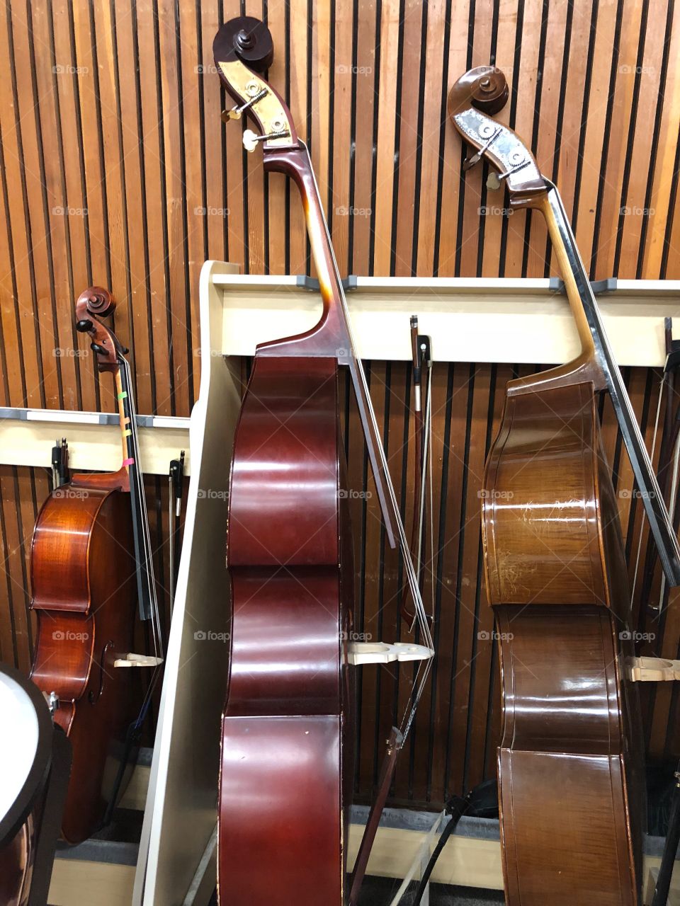 Bass and cello