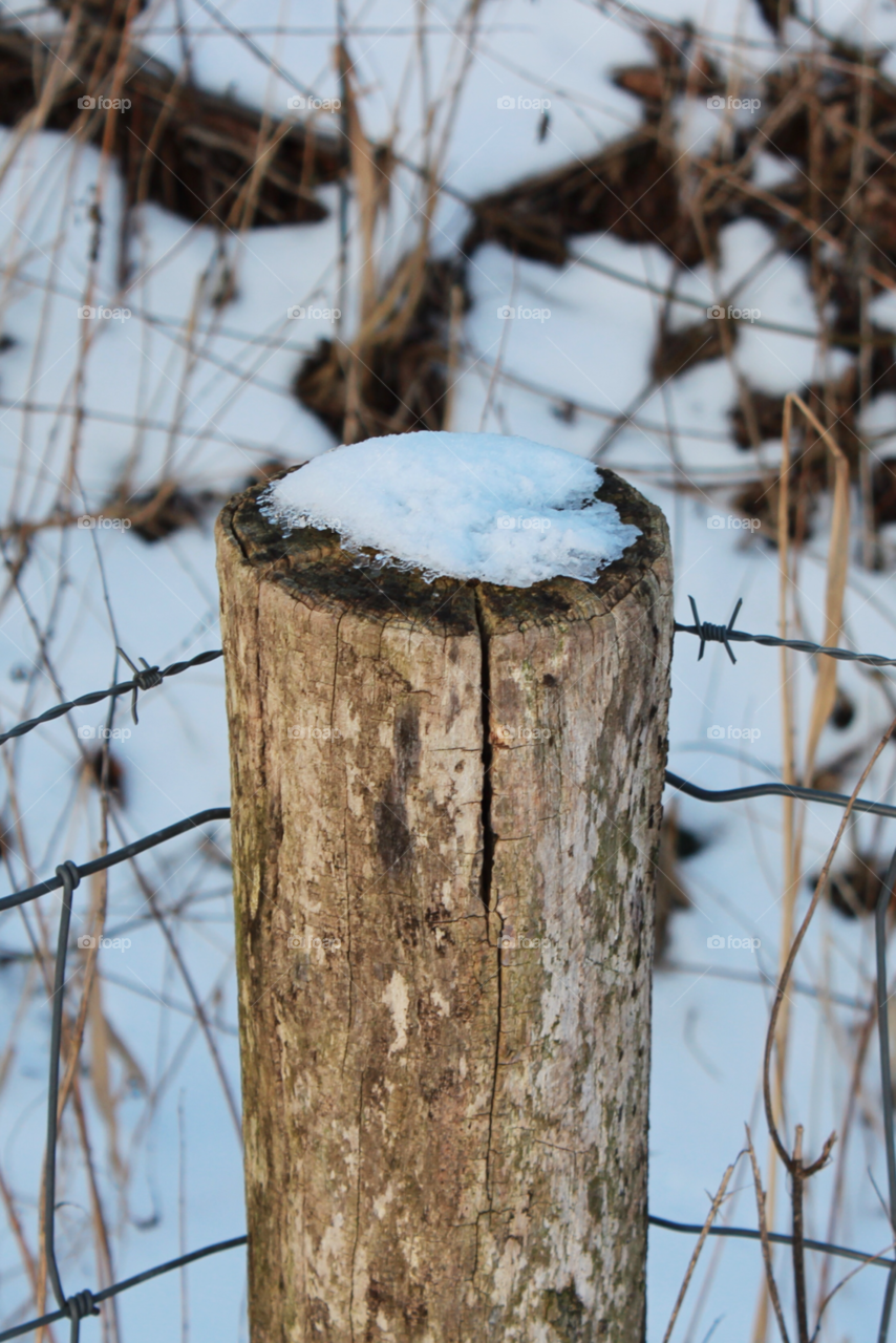 snow winter wood fence by twilite