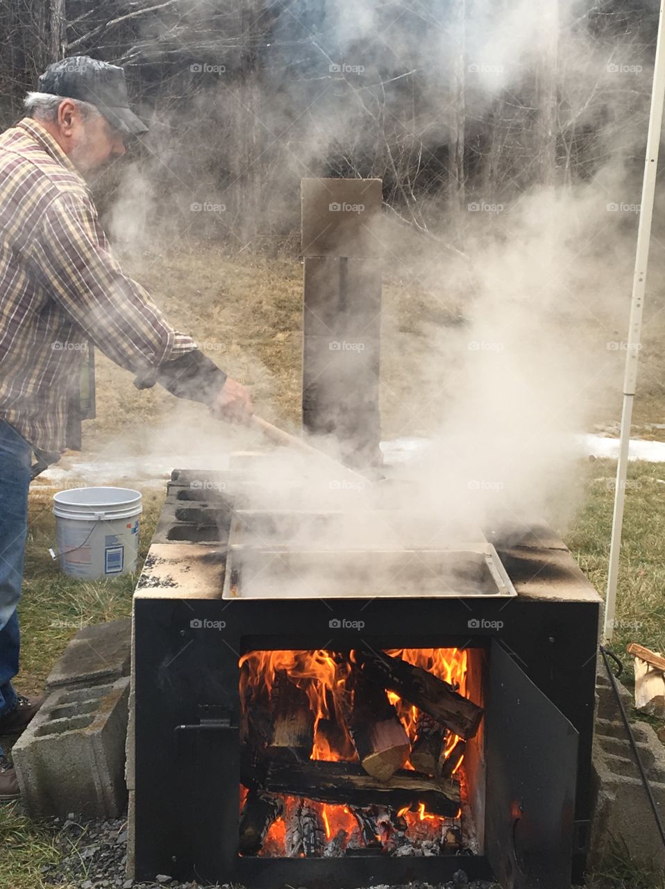 Making maple syrup 