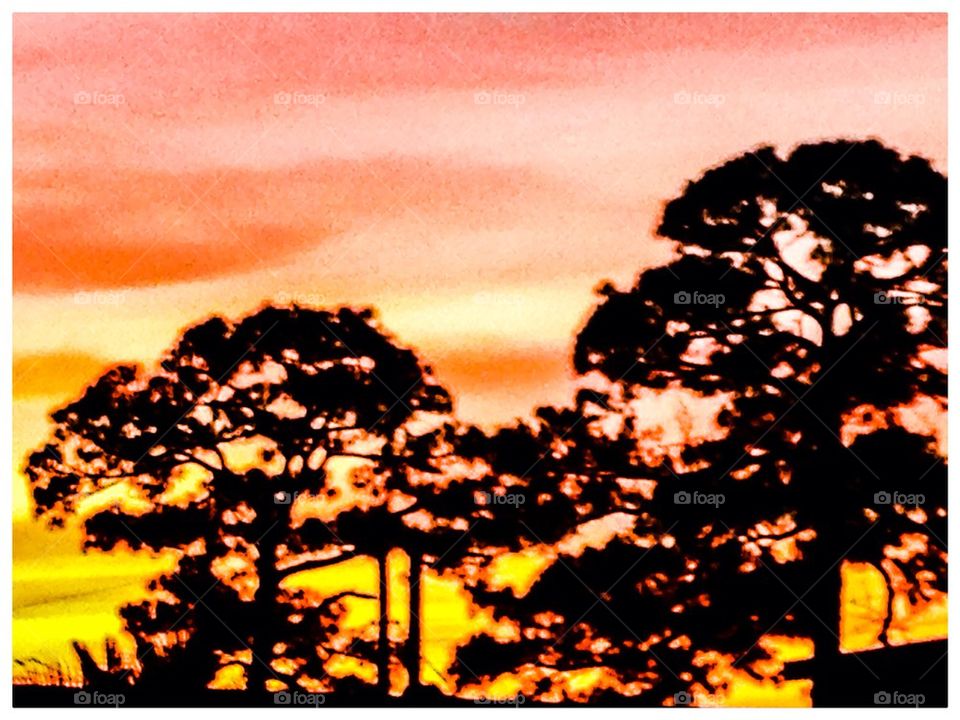 Sunset in Florida #3