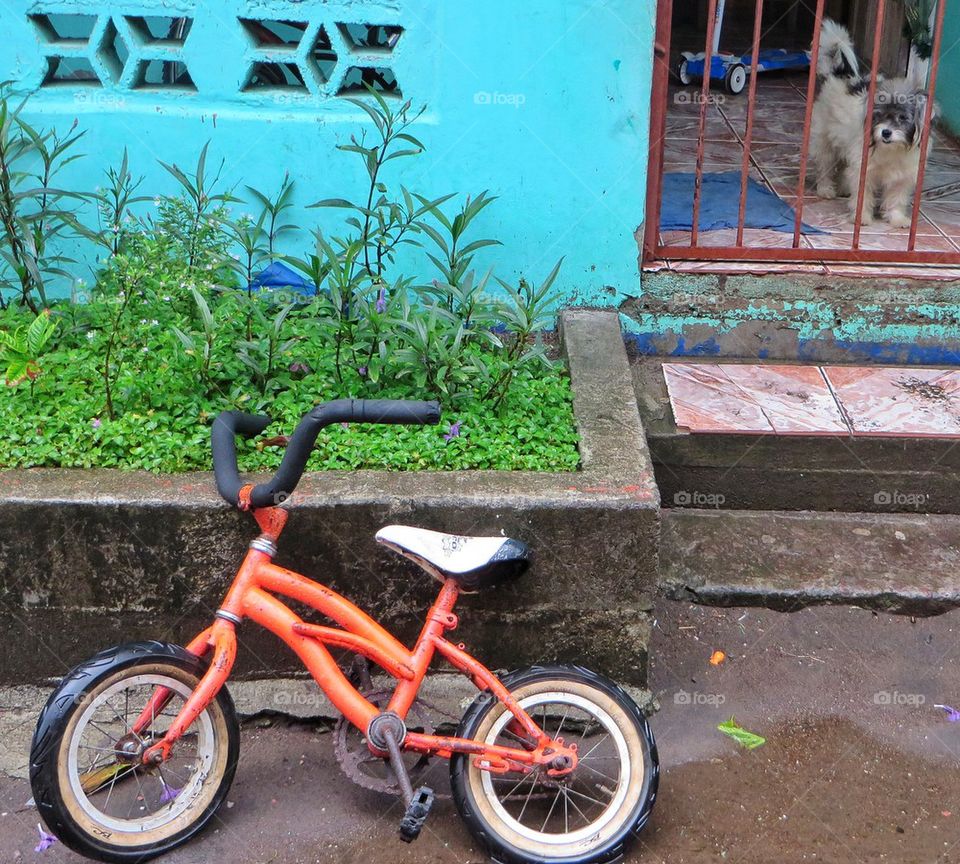 Dog guarding bike