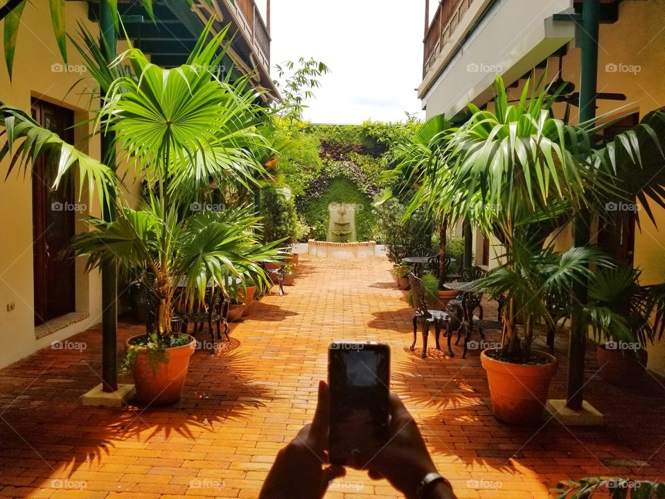 Picture taken pictures