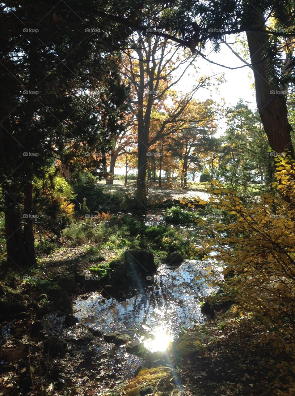 Sunny Autumn day