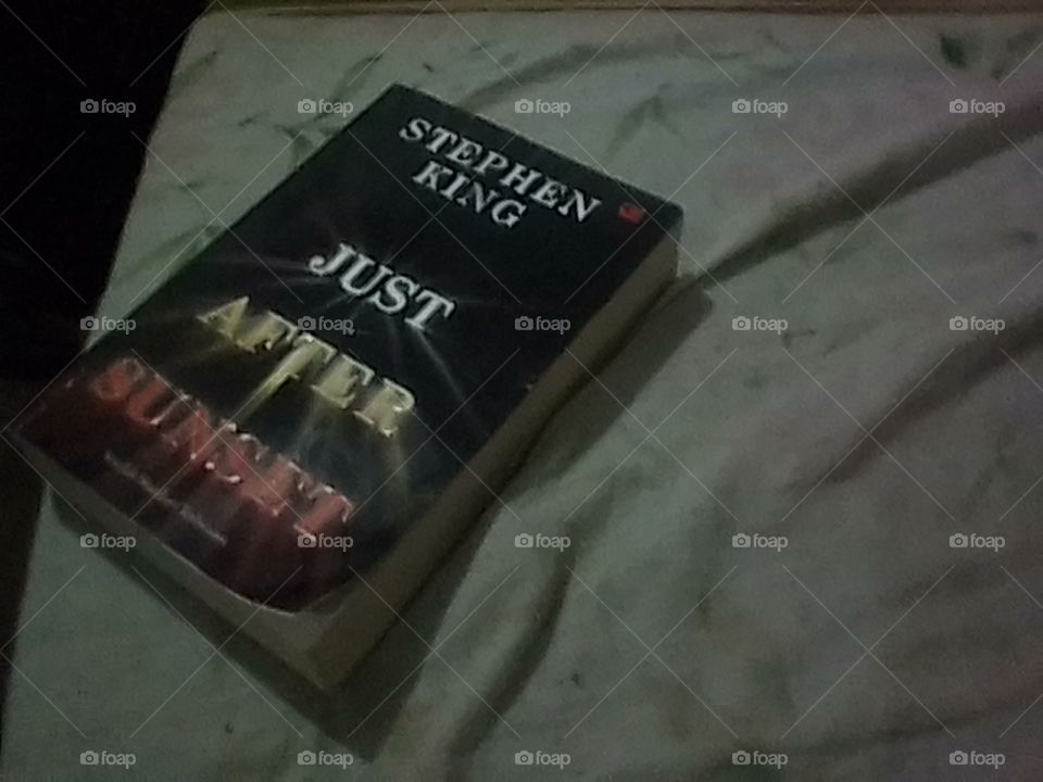 Stephen King "Just After Sunset" Novel,   My reading