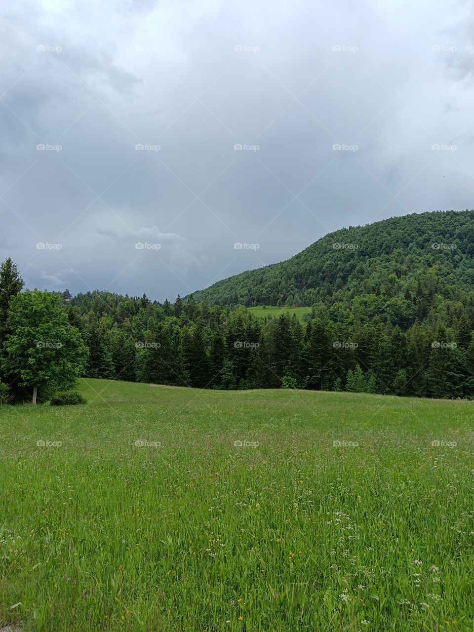 green , gray and blue