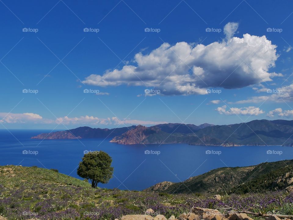 corsica