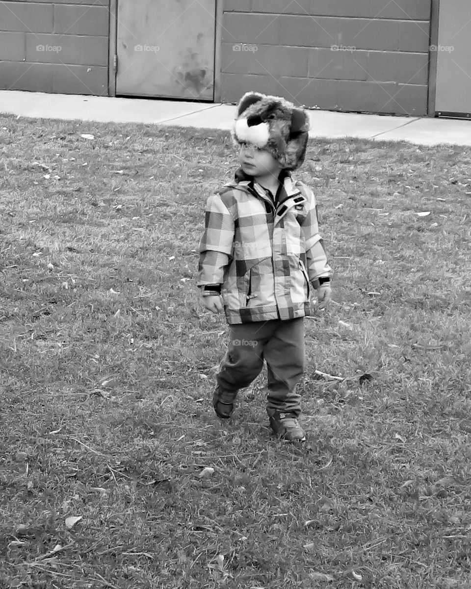 Toddler miraculously paying attention on a stroll