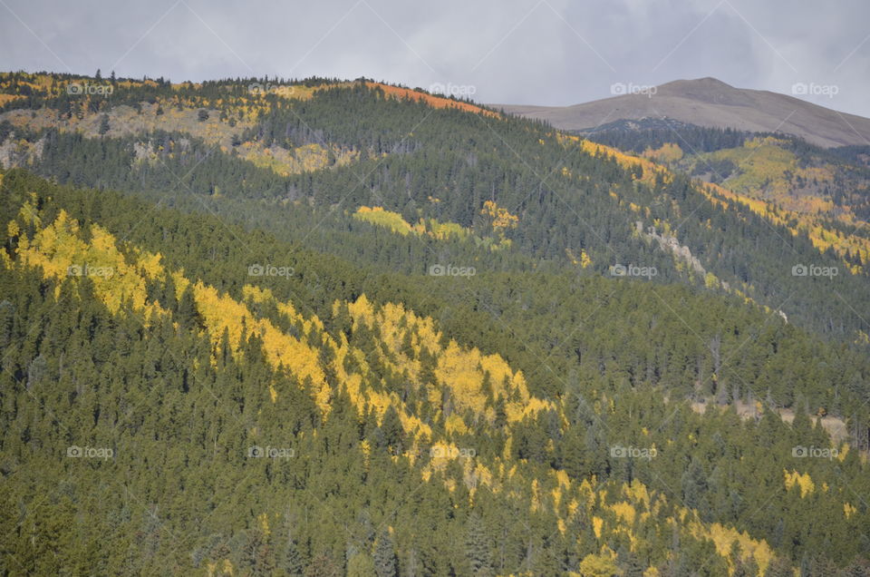 Peak to Peak in Fall