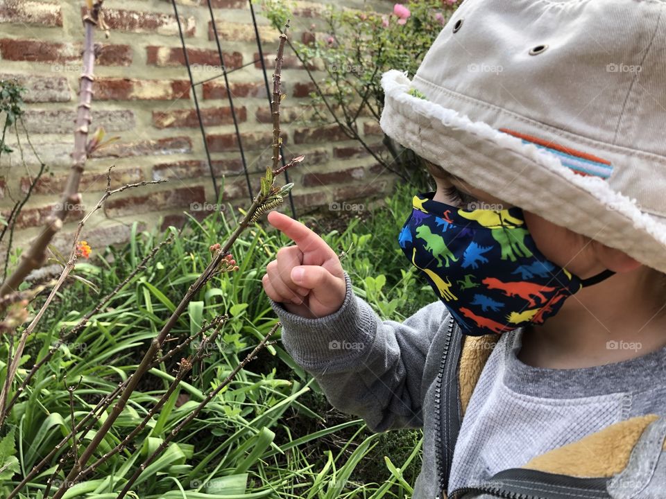 Toddler touching caterpillar