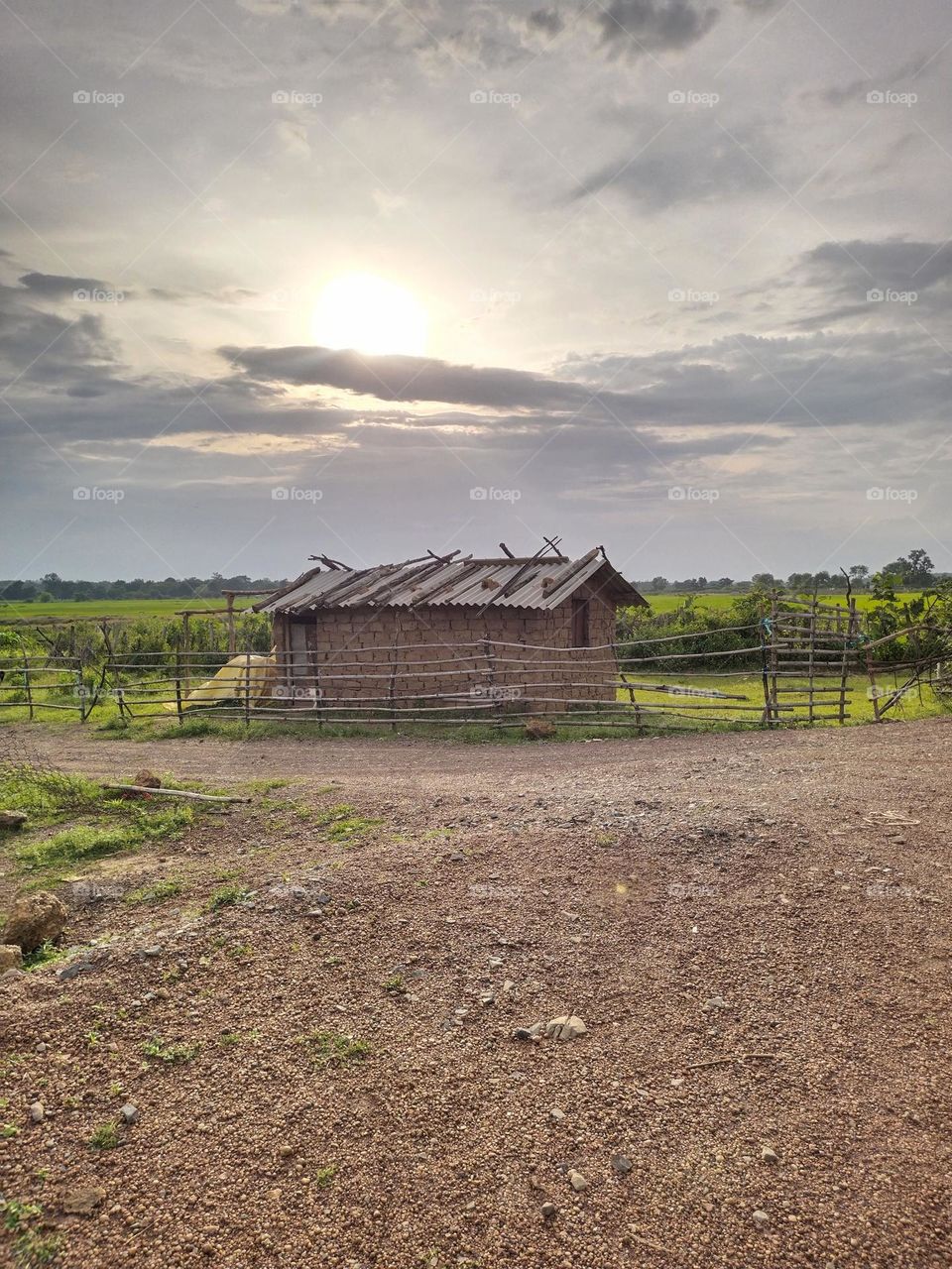 Mysterious house in the middle of the farm, barn, forest